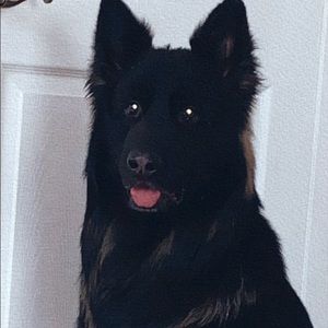 Meet your Posher, Samantha